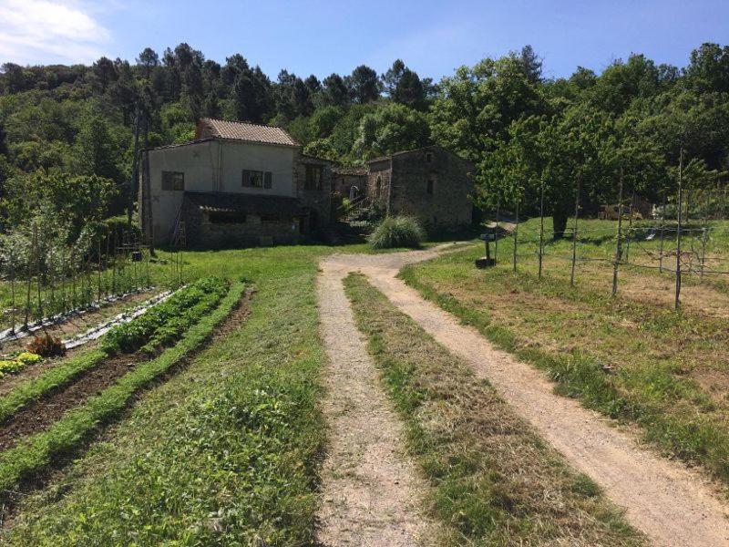 Deux Chambres D Hotes Attenantes Avec Salon Salle A Manger Privatif En Cevennes Gardoises Saint-Jean-du-Gard Bagian luar foto